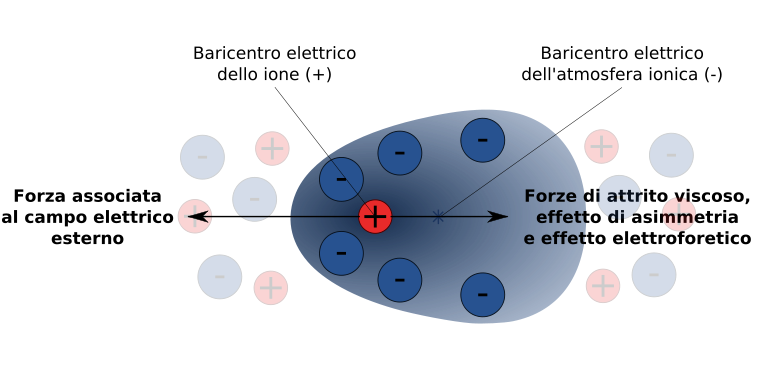 Elettroforesi e verniciatura.